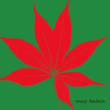 Buckeye