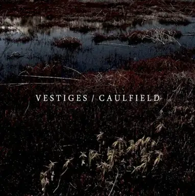 Vestiges / Caulfield