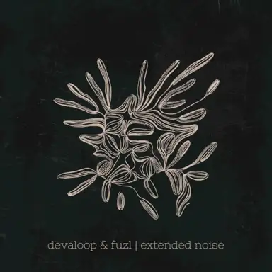 Extended Noise