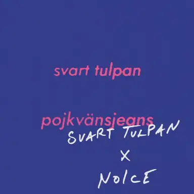 Pojkvänsjeans (Svart Tulpan x NoIcE)