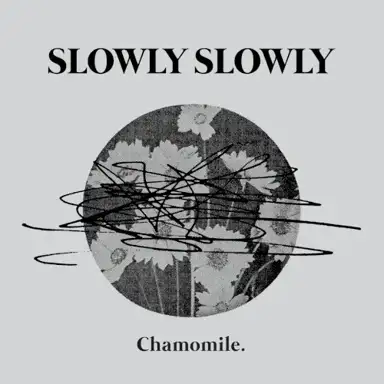 Chamomile