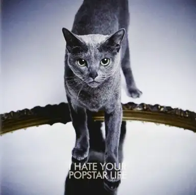 I HATE YOUR POPSTAR LIFE