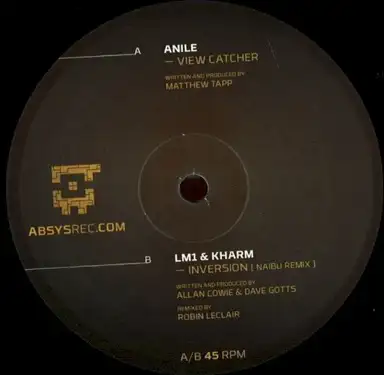View Catcher / Inversion (Naibu remix)