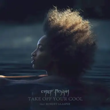 Take Off Your Cool