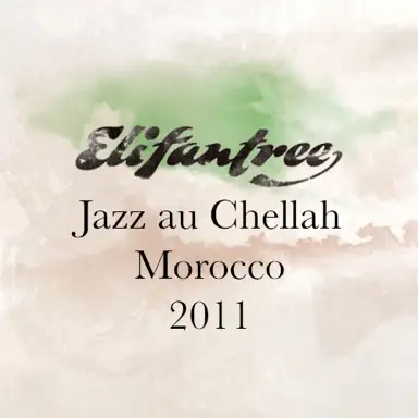 Jazz Au Chellah Morocco 2011