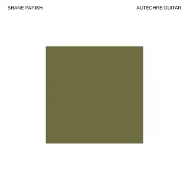 Autechre Guitar