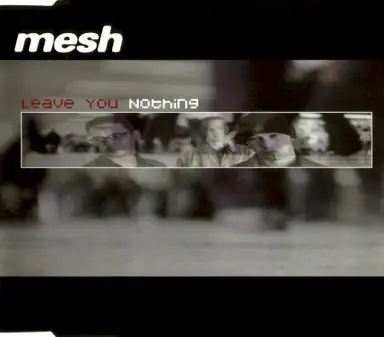 Leave You Nothing