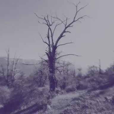 Dust Resonance