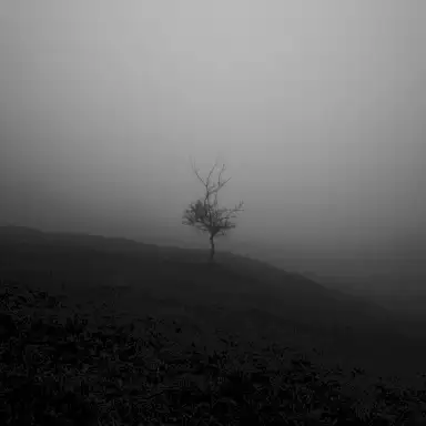 Apocalypse