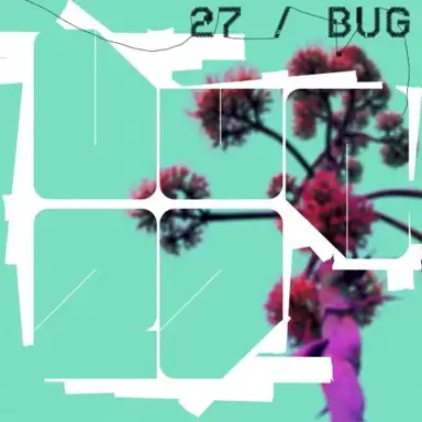 27 / Bug