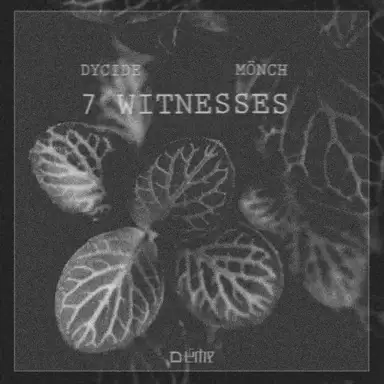 7 Witnesses