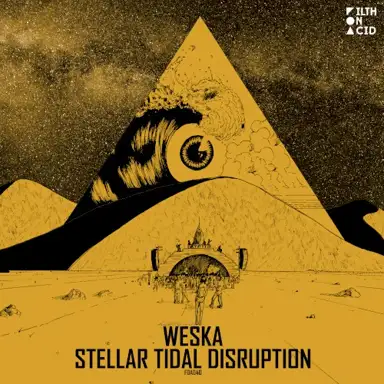 Stellar Tidal Disruption
