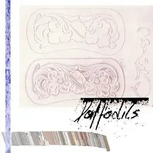 Daffodils – 2024 (Sampler)