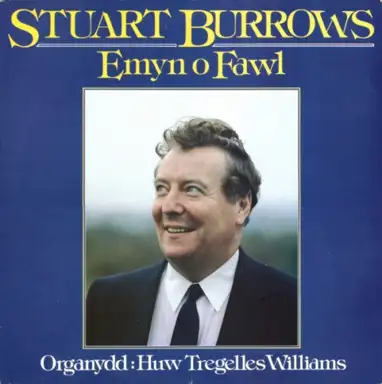 Emyn o Fawl