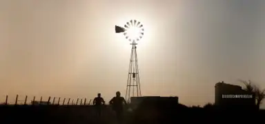Amapola del 66