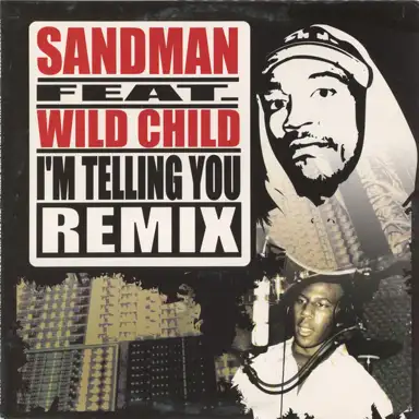 I’m Telling You (remix)