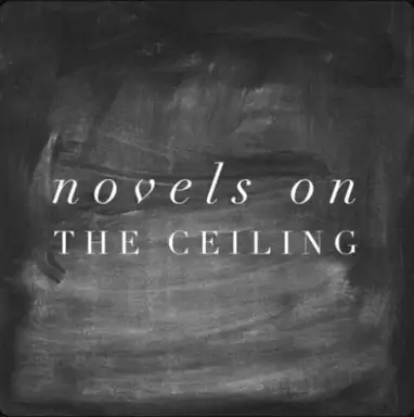 Novels On The Ceiling