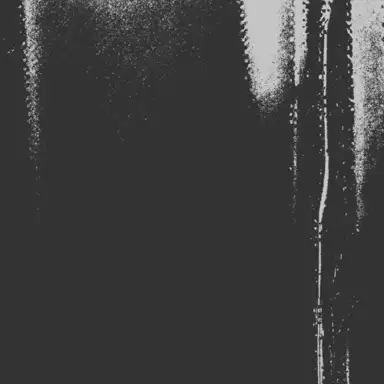 Lost Connection