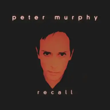 Recall