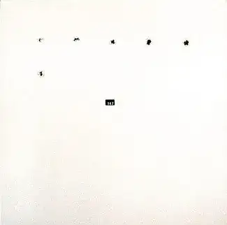 FatCat Split Series #6