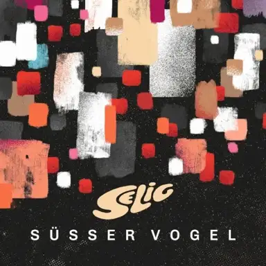Süßer Vogel
