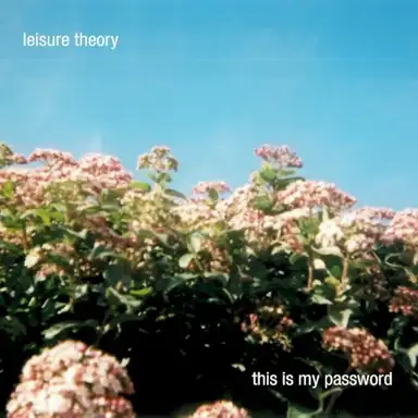 This Is My Password
