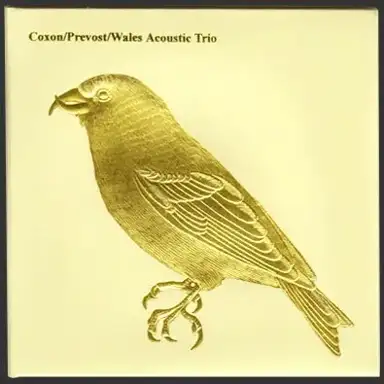 Acoustic Trio