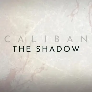 The Shadow