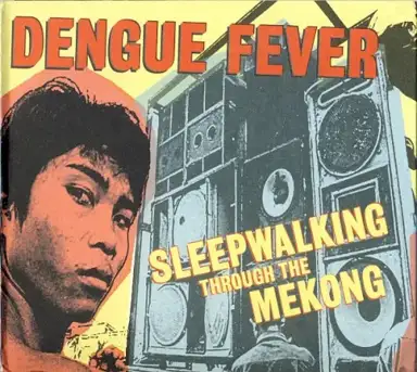 Sleepwalking Through the Mekong