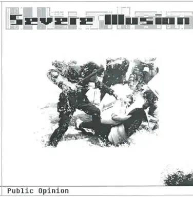 Public Opinion