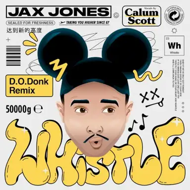 Whistle (D.O.Donk remix)