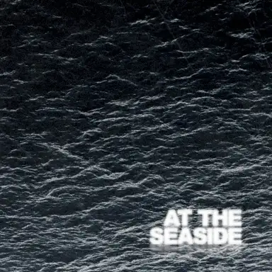 At the Seaside