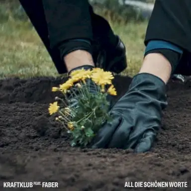 All die schönen Worte
