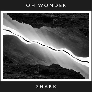 Shark (10 Years On)