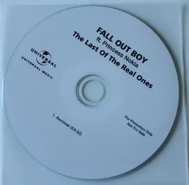 The Last of the Real Ones (remix)