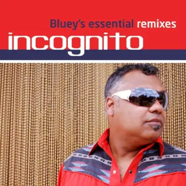 Bluey's Essential Remixes