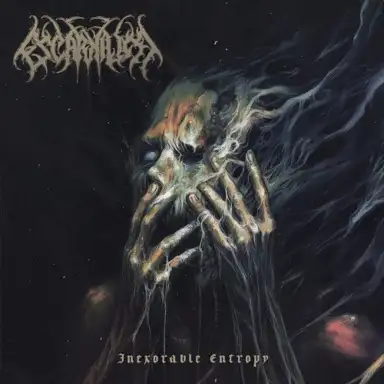 Inexorable Entropy