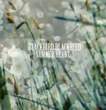 Summer Heart