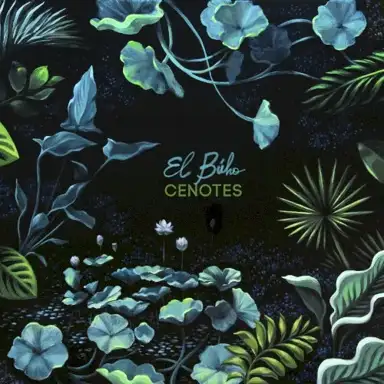 Cenotes