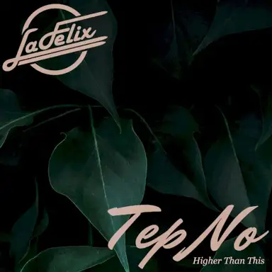Higher Than This (La Felix Remix)
