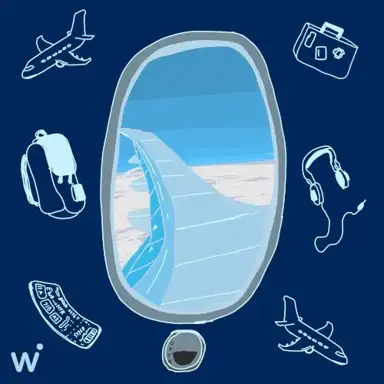 Travel Bag