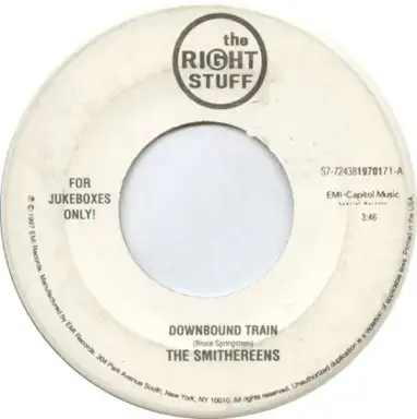 Downbound Train / My Beautiful Reward