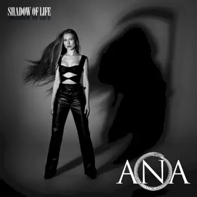 Shadow Of Life
