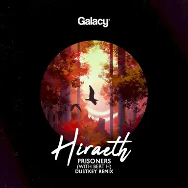 Prisoners (Dustkey remix)