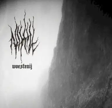 Woestenij