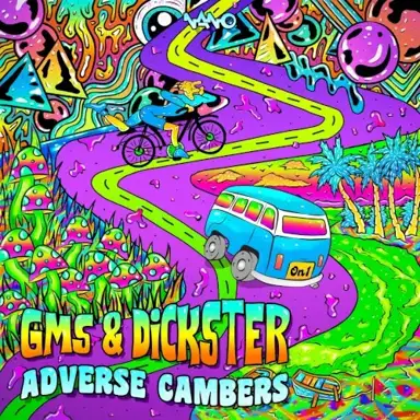 Adverse Cambers