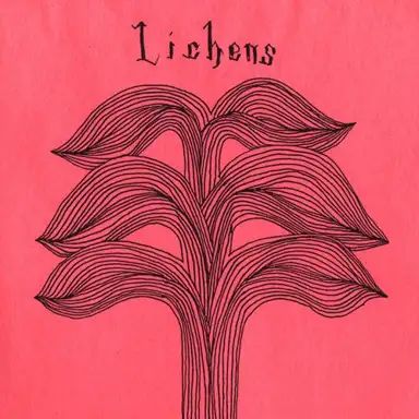 Lichens