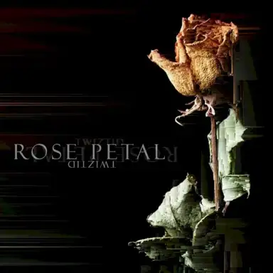 Rose Petal