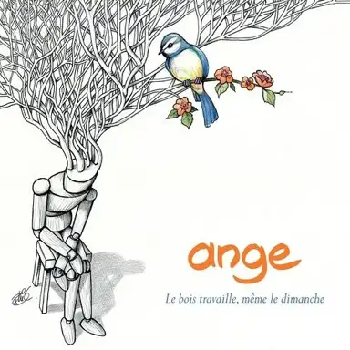 Le bois travaille, même le dimanche
