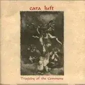 Tragedy of the Commons